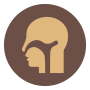 Ear, Nose and Throat (ENT)