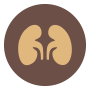 Centre for Organ Transplantation